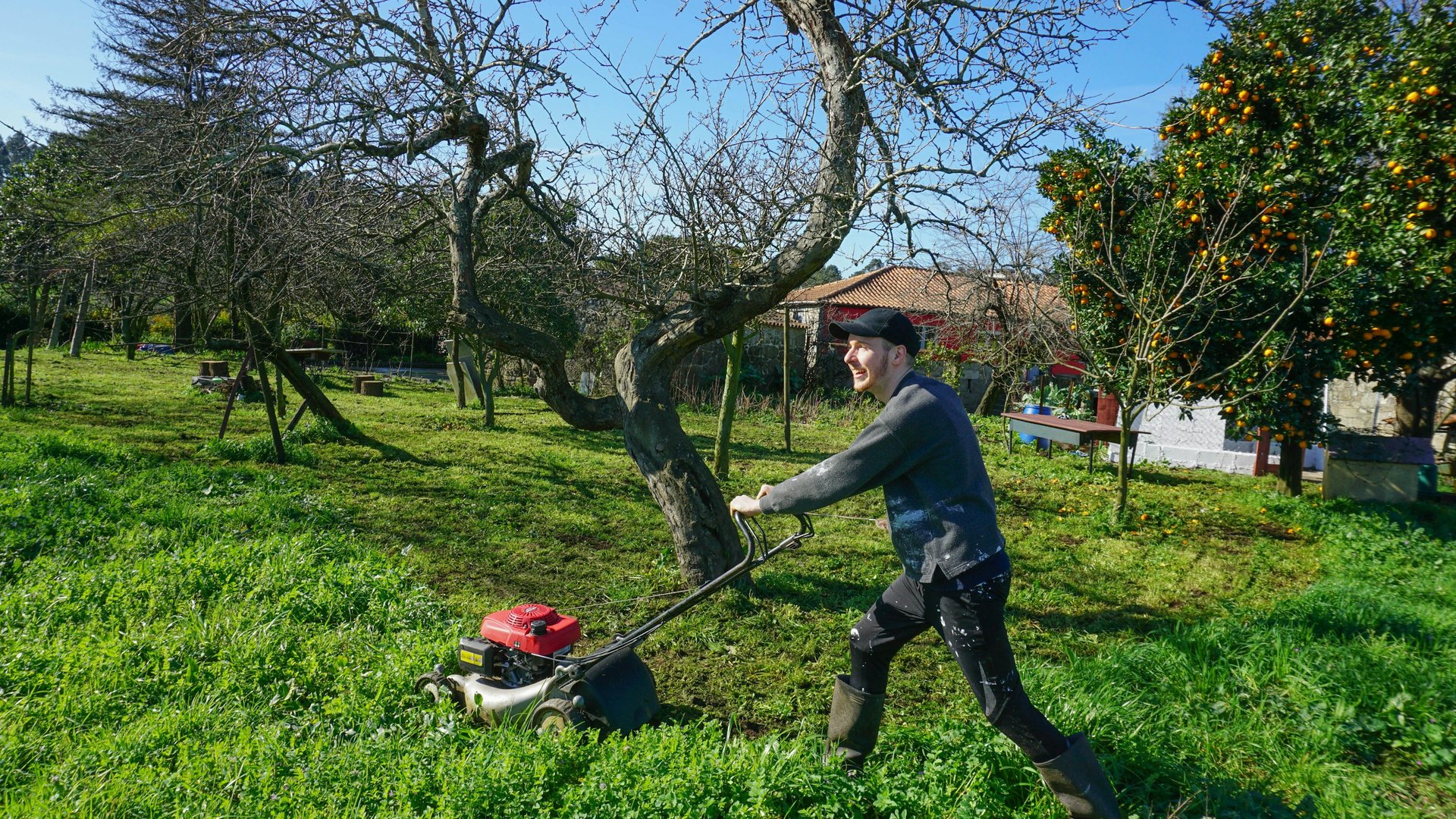 Professional lawn mowing service